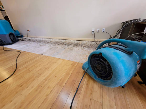 Professional Structural Drying technician working in Fox Island, WA